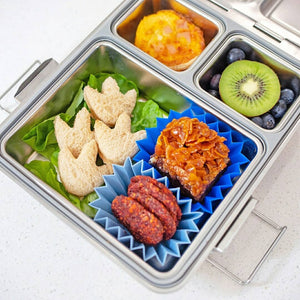 Bento Stainless Steel Maxi - Little Lunch Box Co