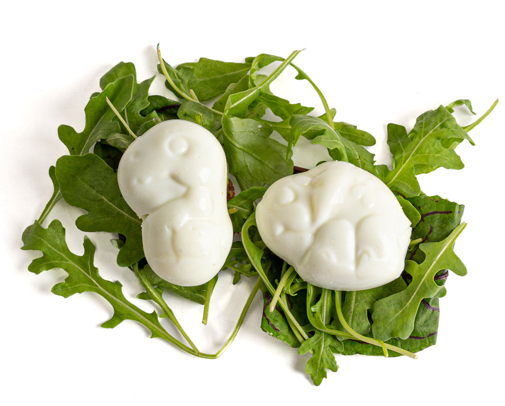 Sada 2 formičiek na vajíčka Lekkabox - T-Rex a Triceratops