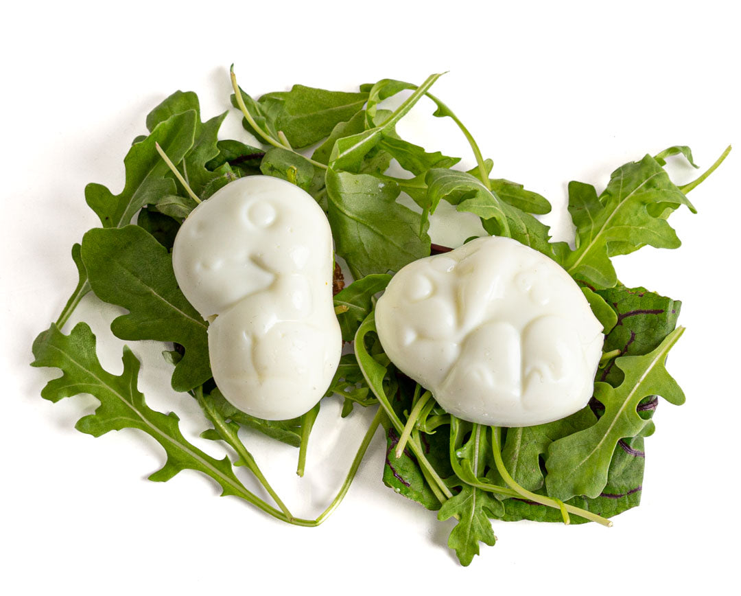 Sada 2 formičiek na vajíčka Lekkabox - T-Rex a Triceratops