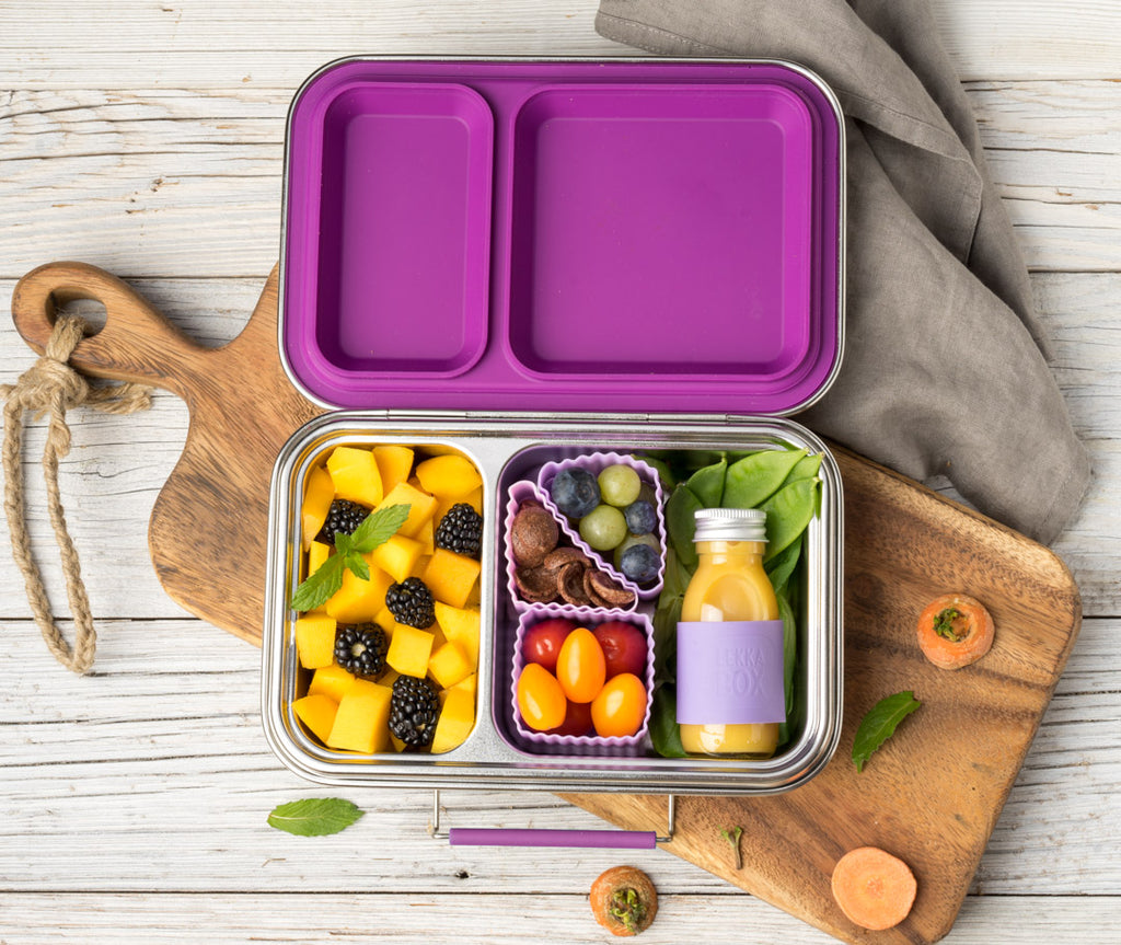 Lekkabox DUO - nerezový box s 2 oddeleniami - lesné ovocie