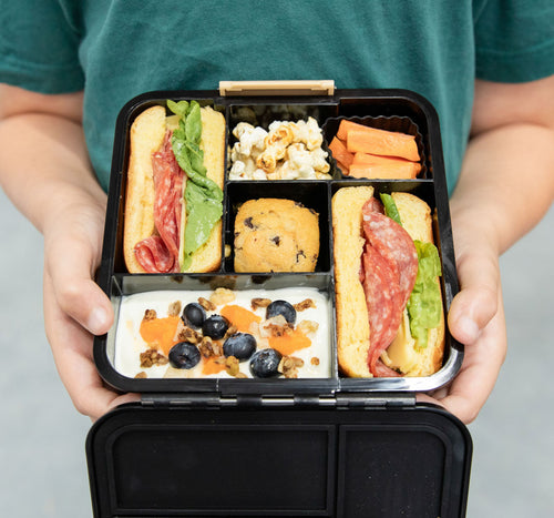 Bento 5 - MontiiCo - Dinosaury