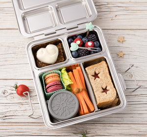 Bento Stainless Steel Maxi - Little Lunch Box Co