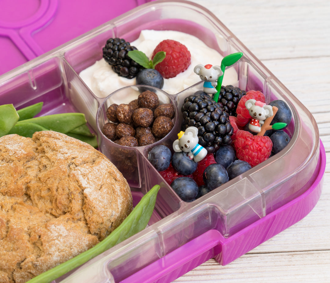 Napichovátka vyberavé koaly