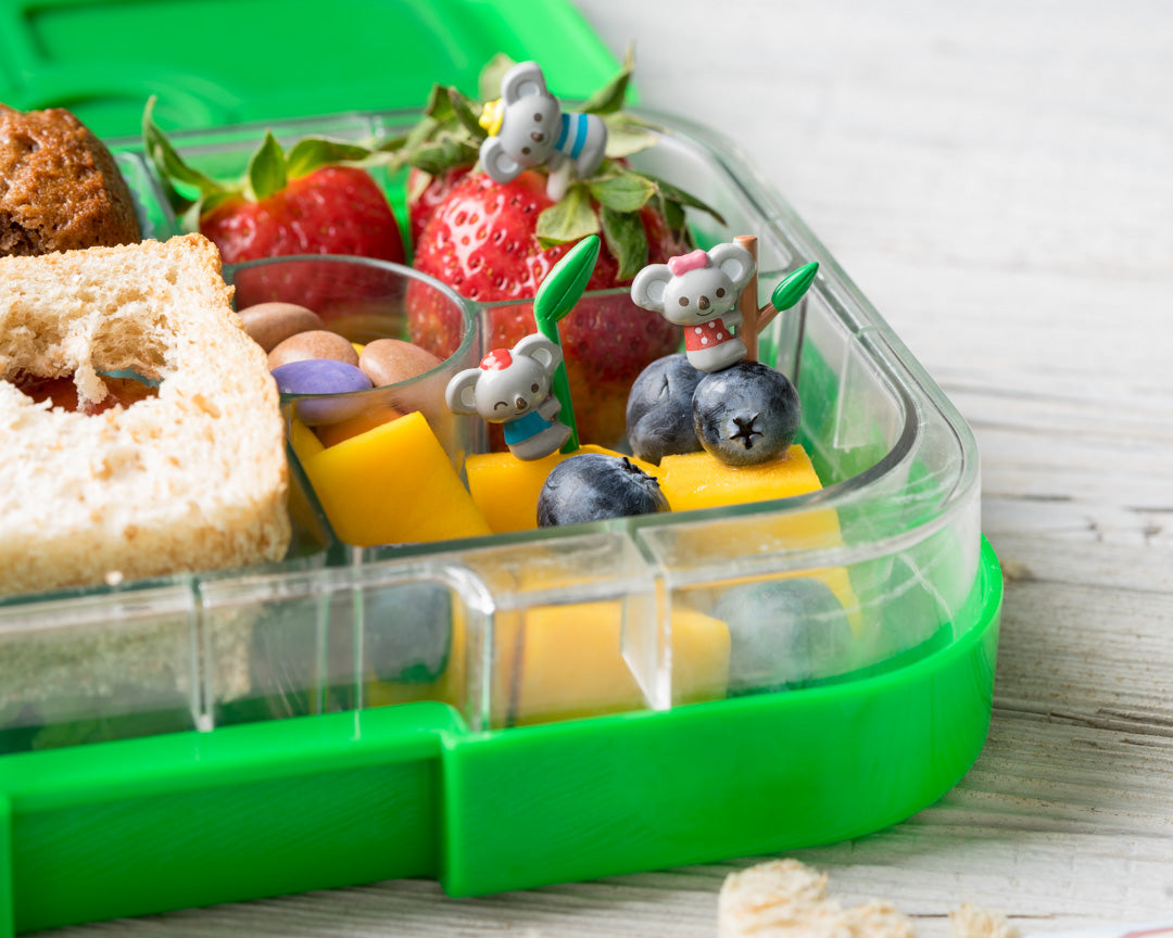 Napichovátka vyberavé koaly