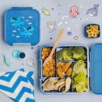 Načítať obrázok do zobrazovača galérie, Bento Five - Little Lunch Box Co - Žralok
