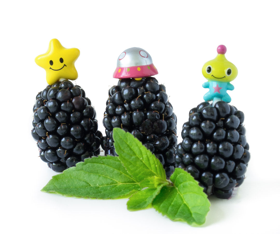 Napichovátka vesmírni cestovatelia